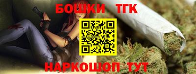 тгк Партизанск