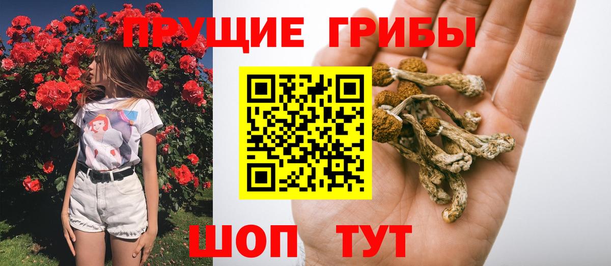 Галлюциногенные грибы ЛСД Советск